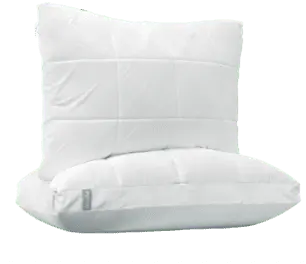The Nuzzle Pillow / King Size - Image 6